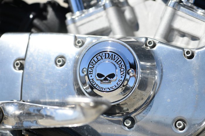 2010 Harley-Davidson Sportster 883 Low (XL883L)