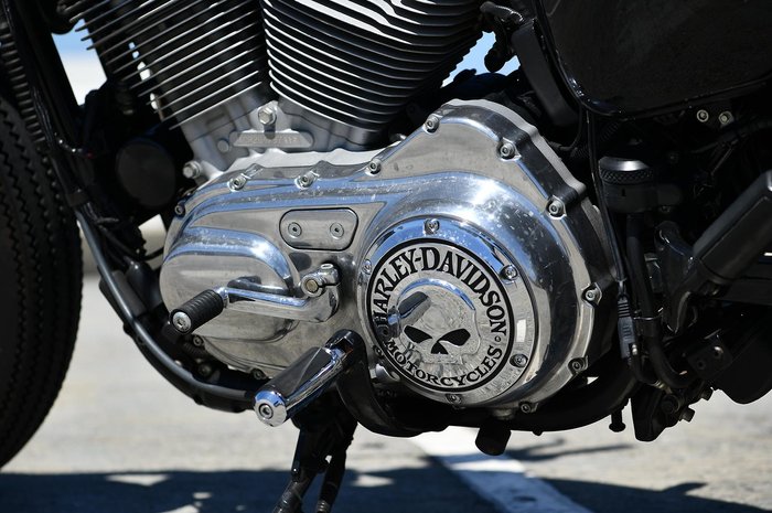 2010 Harley-Davidson Sportster 883 Low (XL883L)