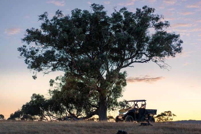 2025 Segway Fugleman UT6 Pro