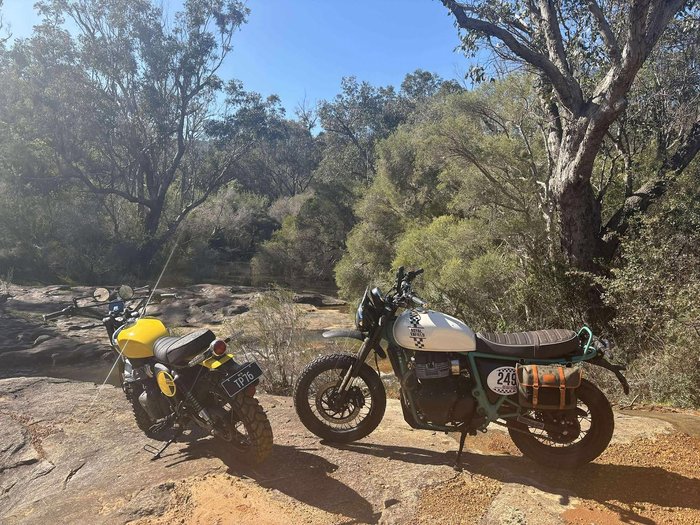 2025 Royal Enfield Bear 650