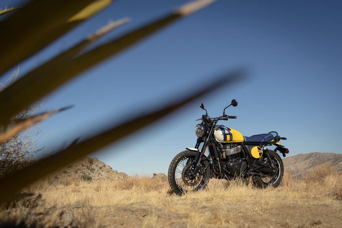 2025 Royal Enfield Bear 650