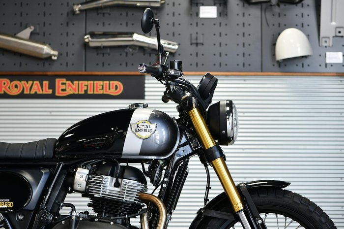 2025 Royal Enfield Bear 650