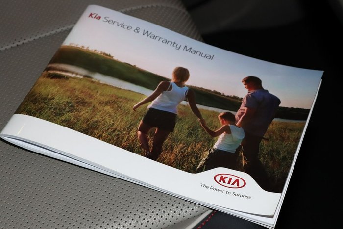 2017 Kia Carnival Platinum