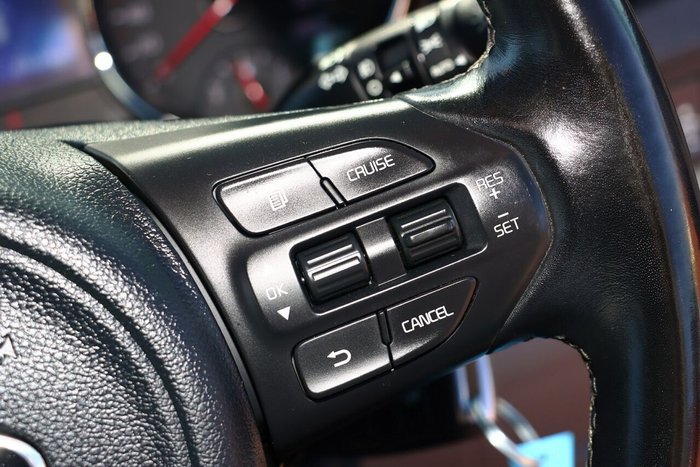 2017 Kia Carnival Si