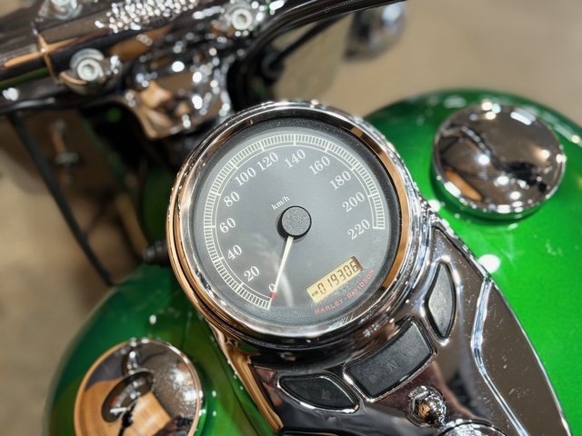 2010 HARLEY-DAVIDSON FLSTC HERITAGE SOFTAIL CLASSIC