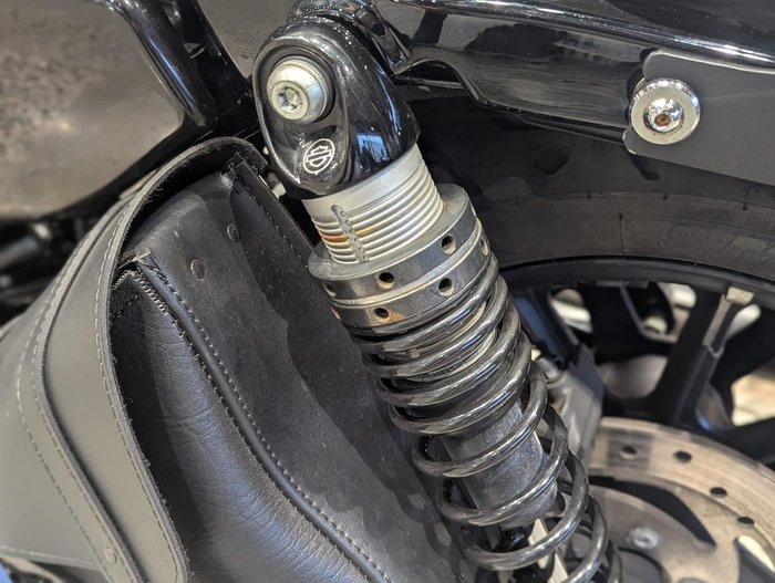 2019 Harley-Davidson Iron 883 (XL883N) Sportster Grey