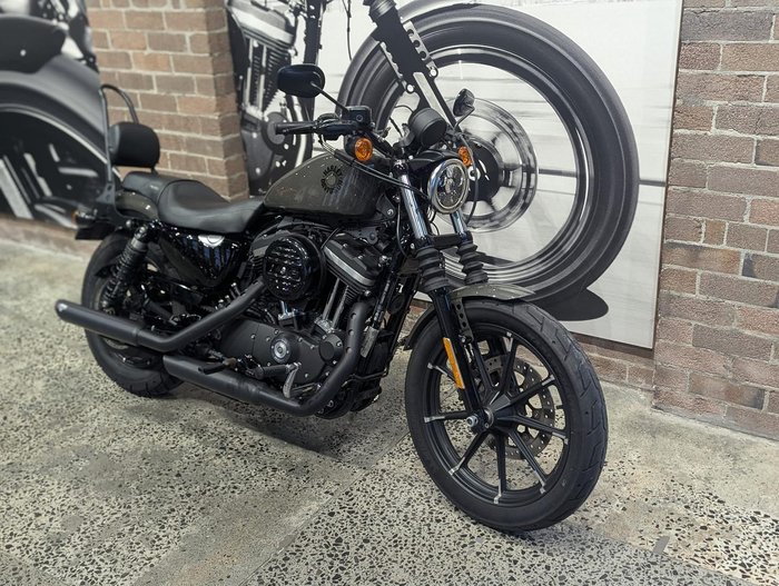 2019 Harley-Davidson Iron 883 (XL883N) Sportster Grey