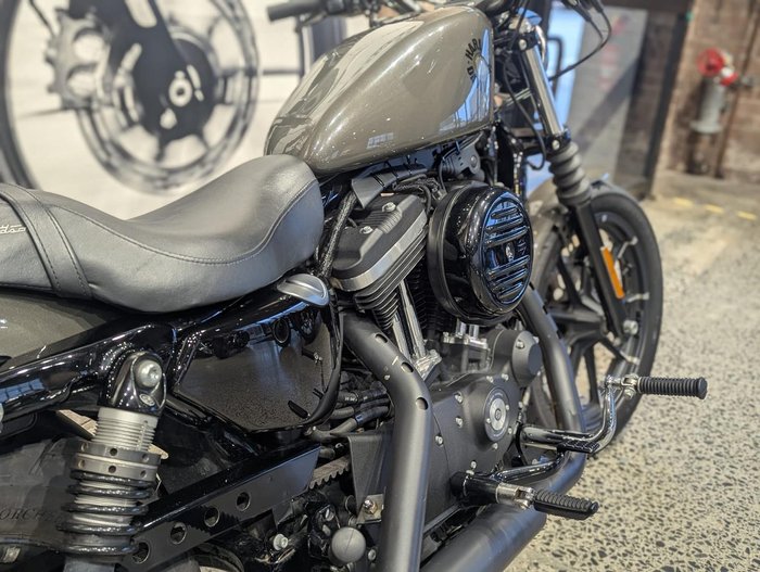 2019 Harley-Davidson Iron 883 (XL883N) Sportster Grey