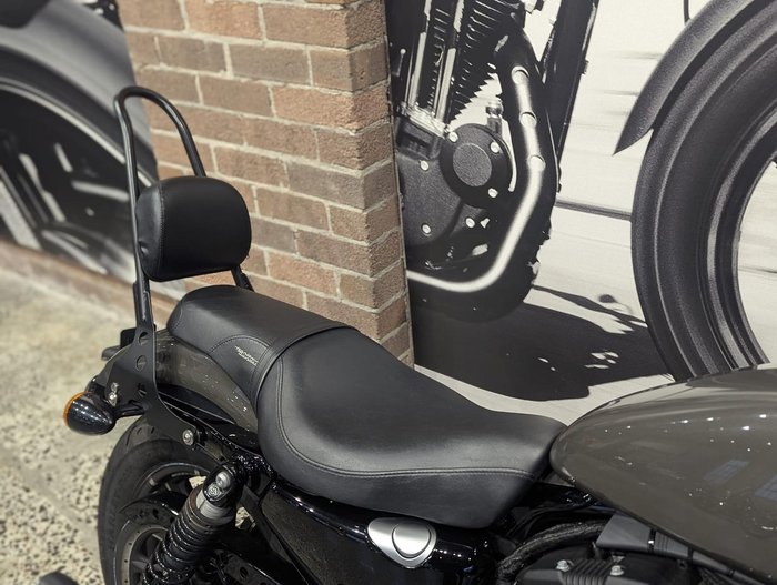 2019 Harley-Davidson Iron 883 (XL883N) Sportster Grey
