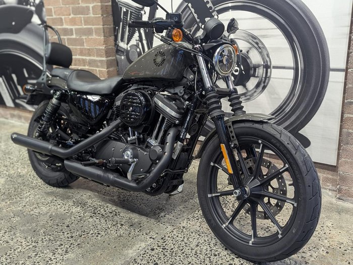 2019 Harley-Davidson Iron 883 (XL883N) Sportster Grey