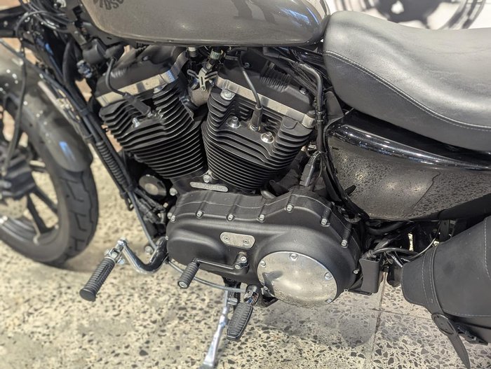 2019 Harley-Davidson Iron 883 (XL883N) Sportster Grey