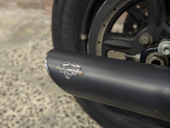 2019 Harley-Davidson Iron 883 (XL883N) Sportster Grey