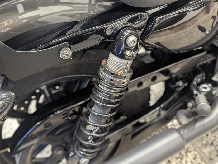 2019 Harley-Davidson Iron 883 (XL883N) Sportster Grey