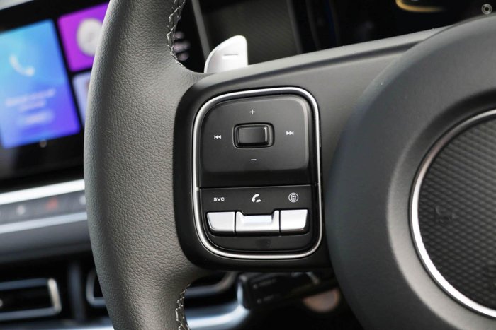 2025 GWM Cannon Premium