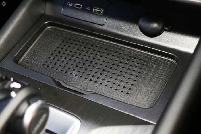 2025 GWM Cannon Premium