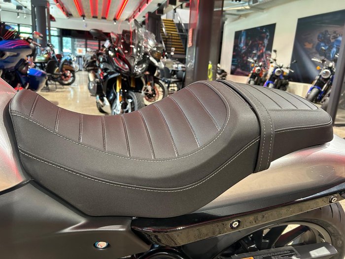 2024 Harley-Davidson X 500 X Silver