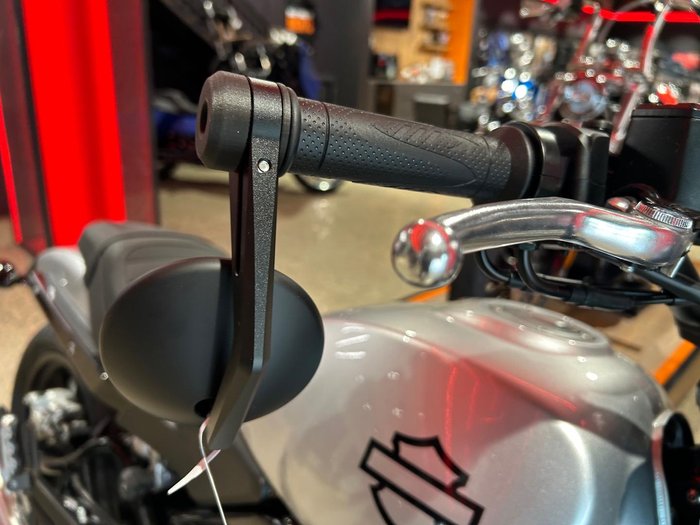 2024 Harley-Davidson X 500 X Silver