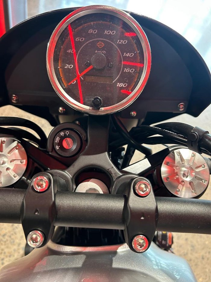 2024 Harley-Davidson X 500 X Silver