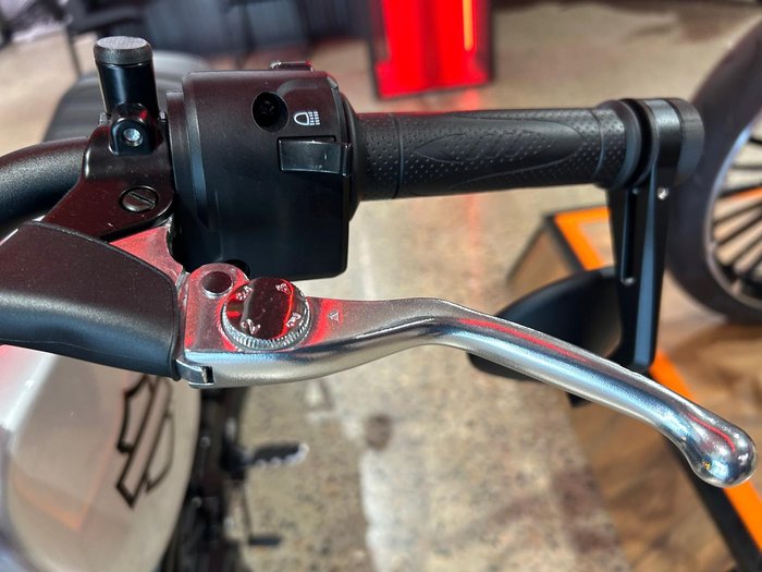 2024 Harley-Davidson X 500 X Silver