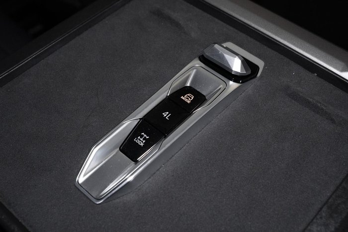 2025 LDV Terron 9 Evolve