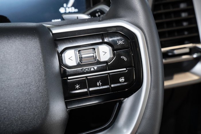 2025 LDV Terron 9 Evolve