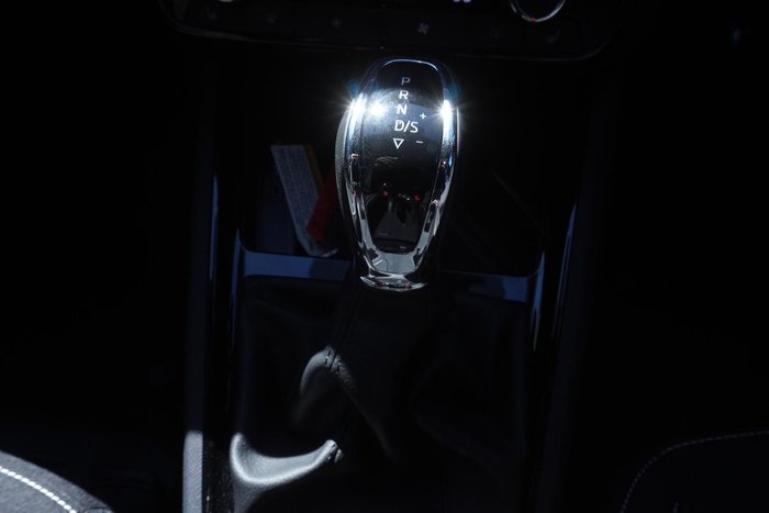 2025 SKODA Kamiq 110TSI Monte Carlo