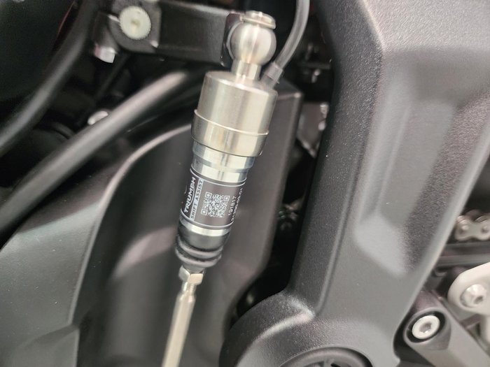 2026 Triumph Trident 660 Trident Yellow