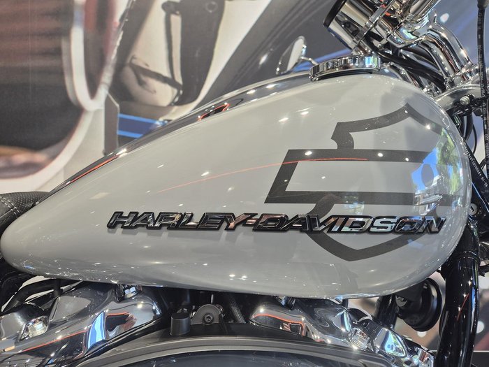 2026 Harley-Davidson Breakout 117 (FXBR) Softail Grey