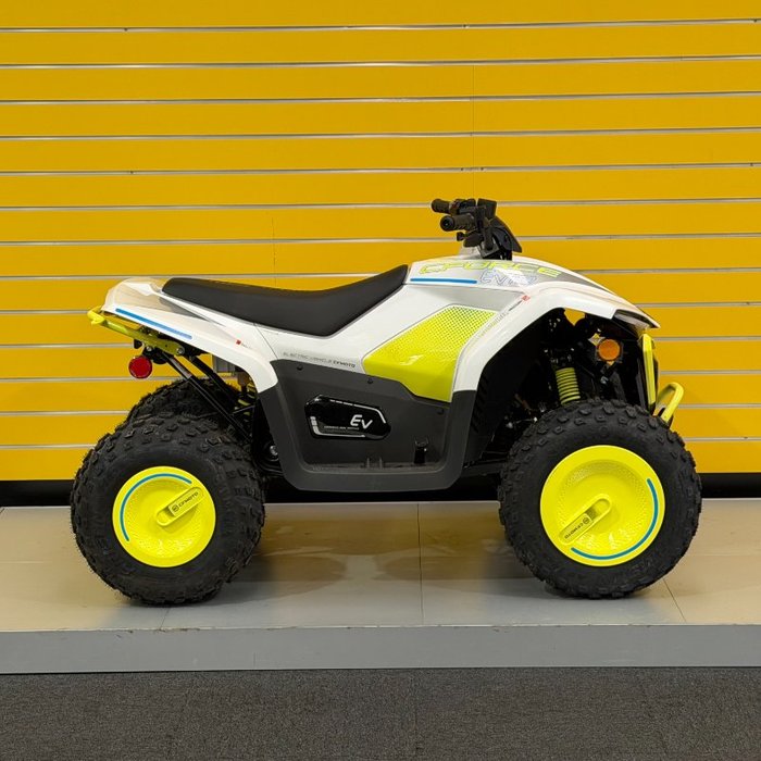 2022 CFMOTO C FORCE EV110 Green