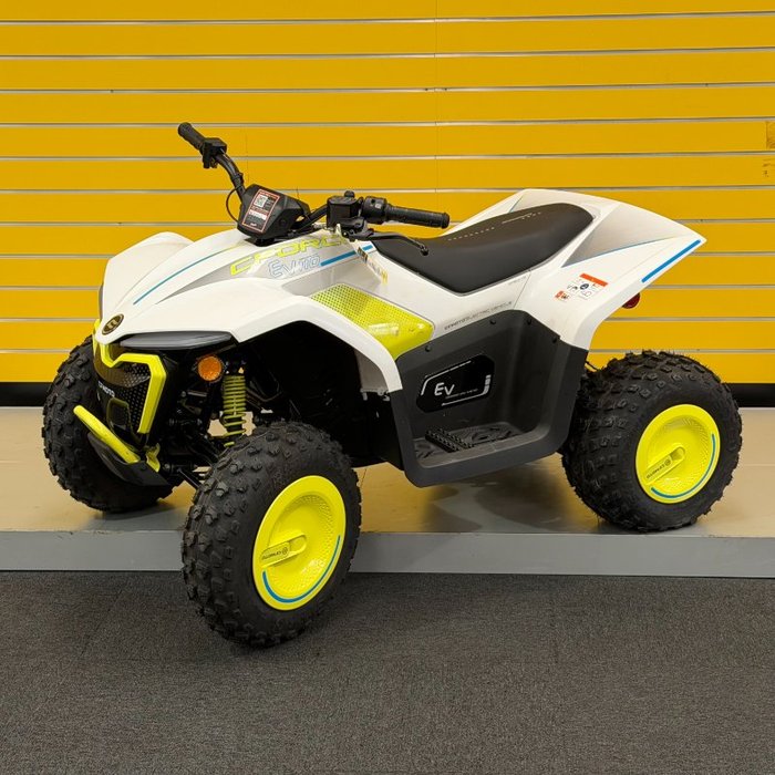 2022 CFMOTO C FORCE EV110 Green