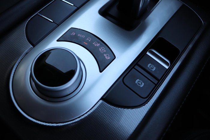 2022 GWM Ute Cannon-X