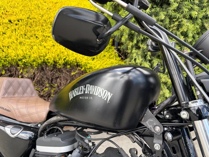 2013 HARLEY-DAVIDSON XL883 IRON 883