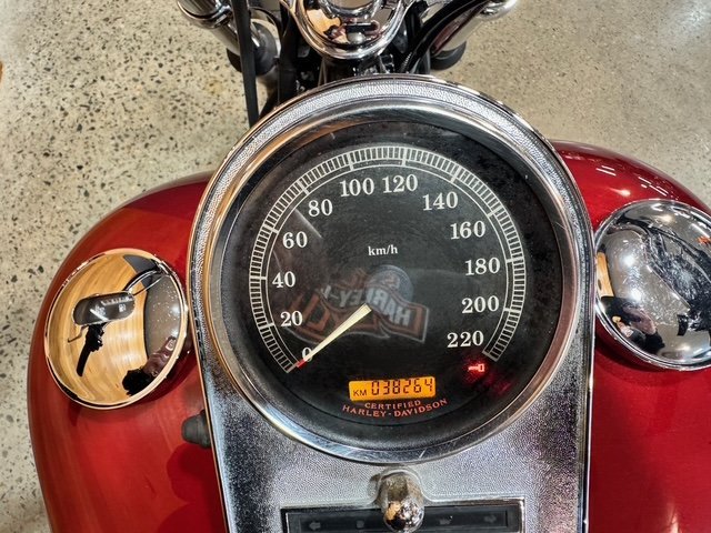 2006 HARLEY-DAVIDSON FXSTI SOFTAIL