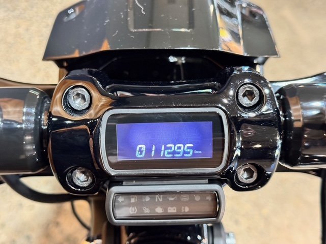 2022 HARLEY-DAVIDSON FXBRS BREAKOUT (114)