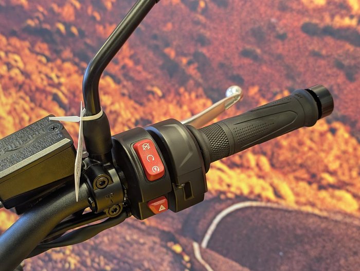 2026 Triumph Trident 660 Trident Yellow