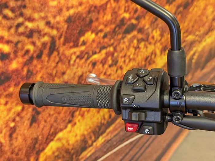 2026 Triumph Trident 660 Trident Yellow