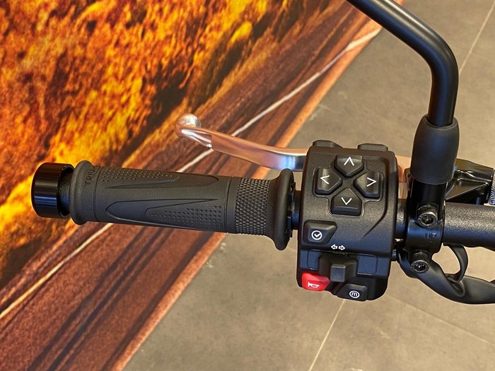 2026 Triumph Trident 660 Trident Grey