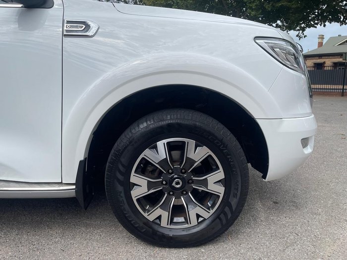 2020 GWM Ute Cannon-X