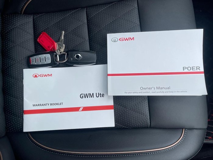 2020 GWM Ute Cannon-X