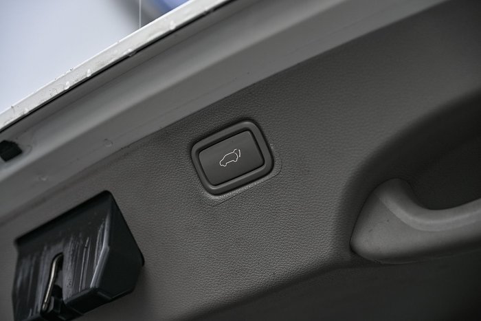 2019 Kia Carnival Platinum