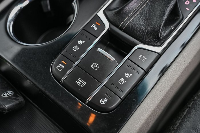 2019 Kia Carnival Platinum