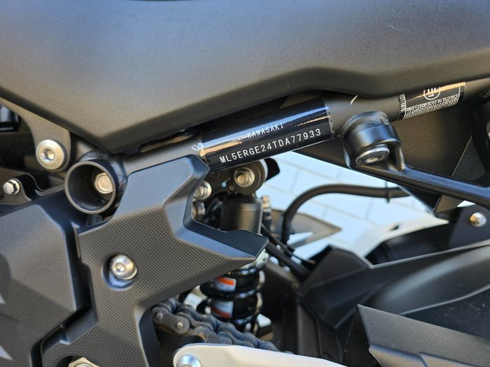 2026 Kawasaki Z500 Green