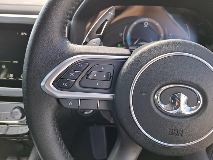 2022 GWM Ute Cannon-X