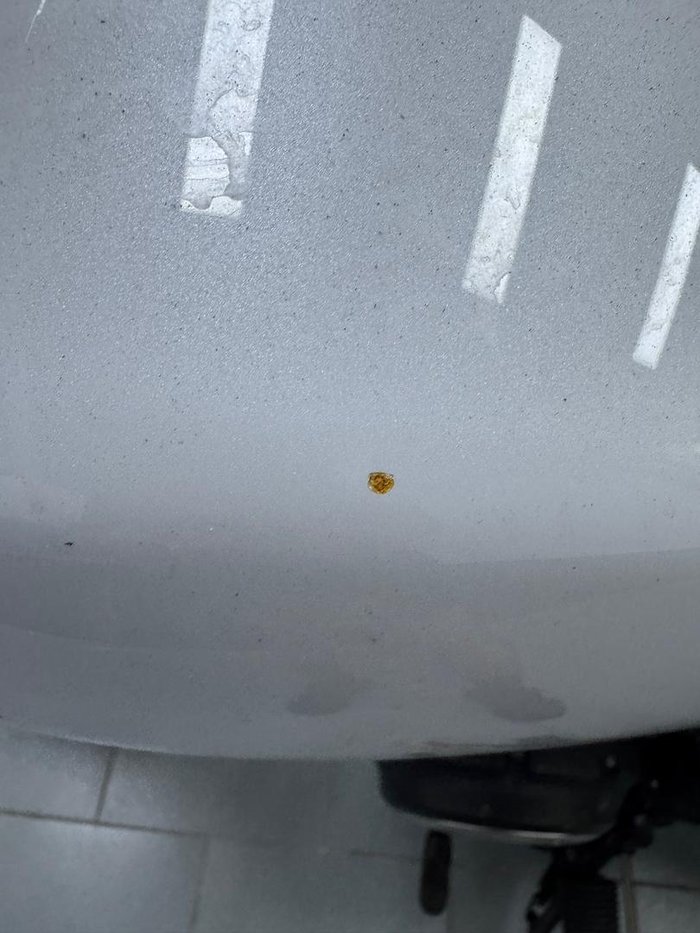 2013 Yamaha Bolt (XVS950CU) Bolt White