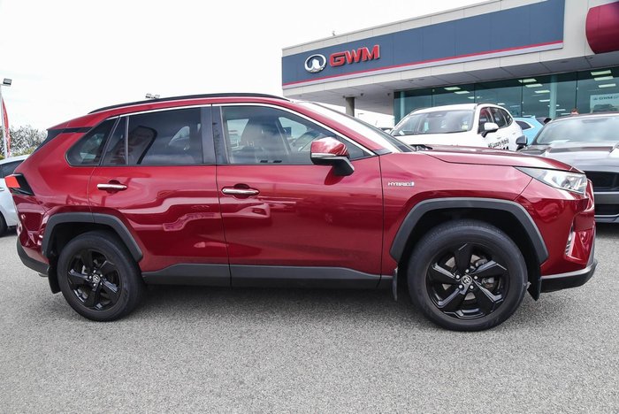 2019 Toyota RAV4 Cruiser