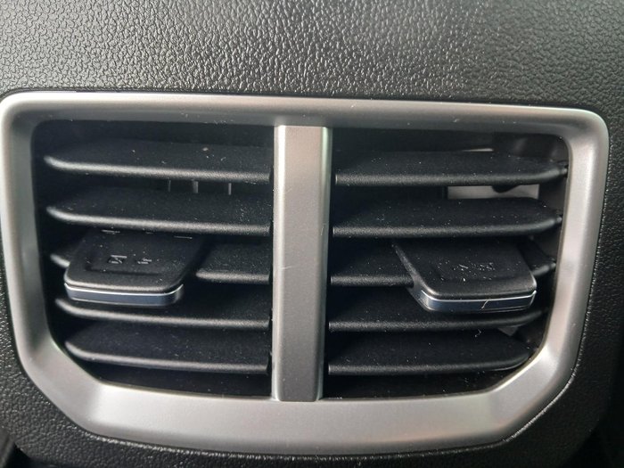 2021 GWM Ute Cannon-X