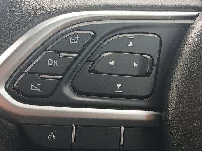 2021 GWM Ute Cannon-X