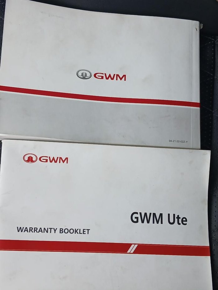 2021 GWM Ute Cannon-X