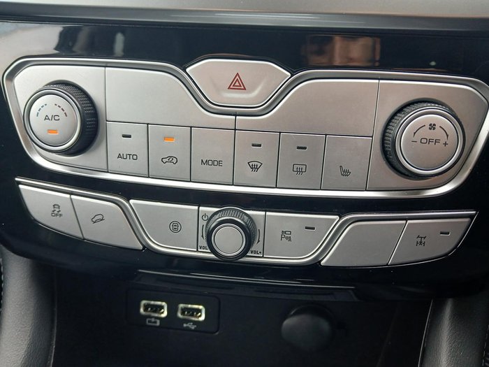 2021 GWM Ute Cannon-X