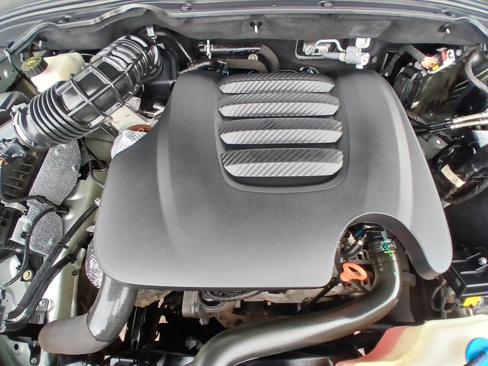 2021 GWM Ute Cannon-X